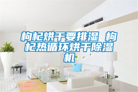 枸杞烘干要排濕 枸杞熱循環烘干除濕機
