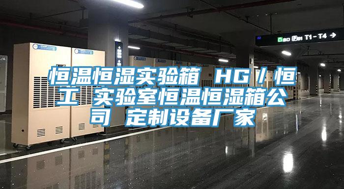 恒溫恒濕實驗箱 HG／恒工 實驗室恒溫恒濕箱公司 定制設備廠家