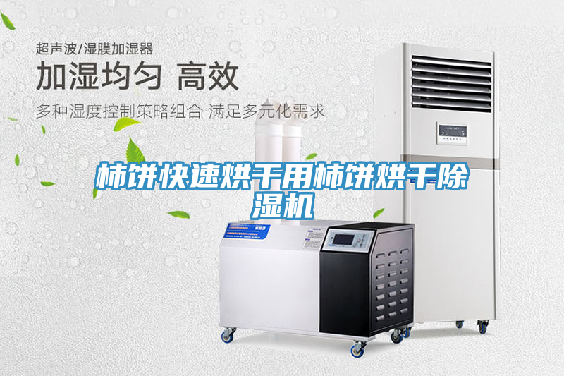 柿餅快速烘干用柿餅烘干除濕機