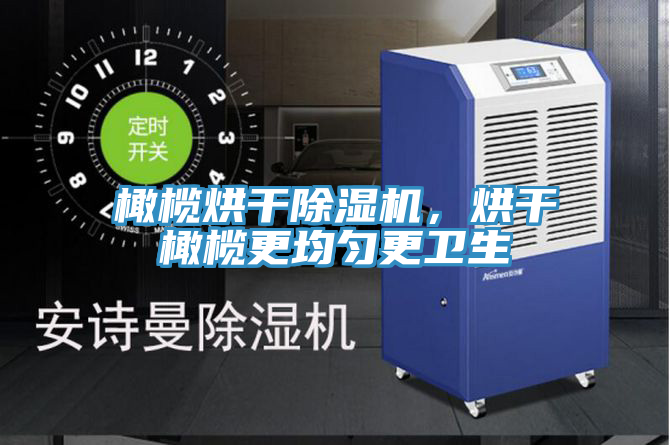 橄欖烘干除濕機，烘干橄欖更均勻更衛生