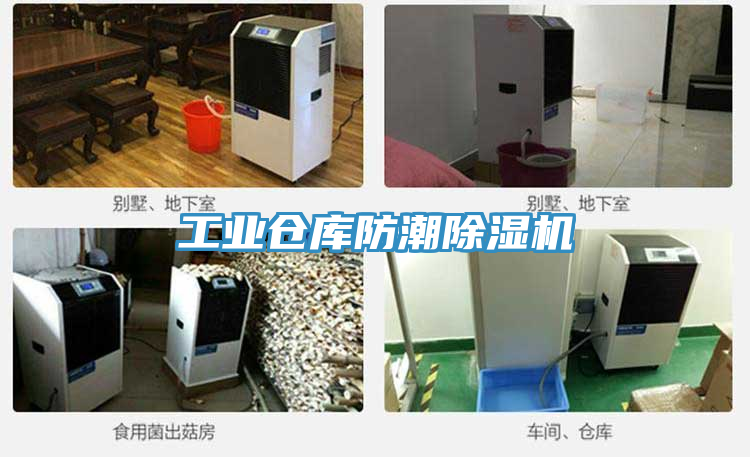 工業(yè)倉庫防潮除濕機