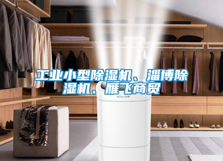 工業小型除濕機、淄博除濕機、雁飛商貿