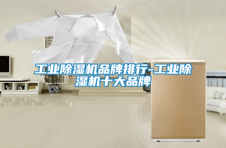 工業除濕機品牌排行-工業除濕機十大品牌
