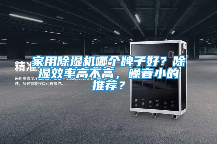 家用除濕機哪個牌子好？除濕效率高不高，噪音小的推薦？