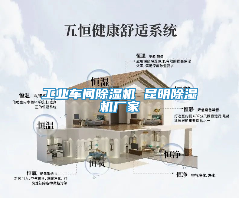 工業車間除濕機 昆明除濕機廠家