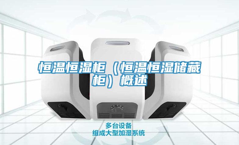 恒溫恒濕柜(恒溫恒濕儲(chǔ)藏柜)概述