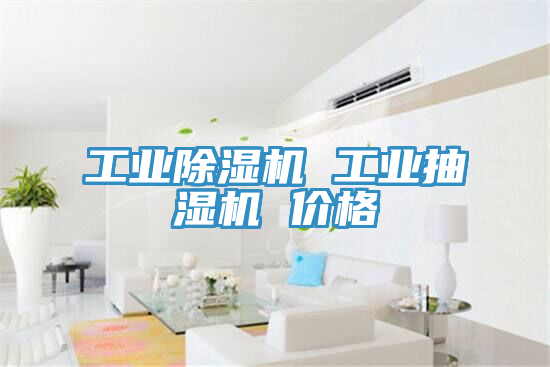 工業除濕機 工業抽濕機 價格