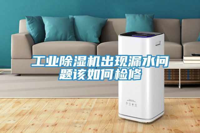 工業(yè)除濕機(jī)出現(xiàn)漏水問題該如何檢修