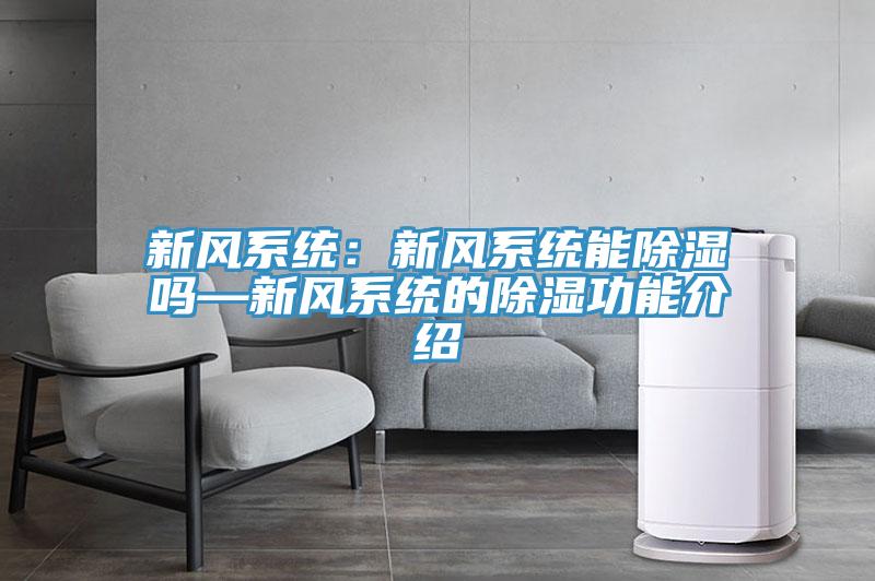 新風系統：新風系統能除濕嗎—新風系統的除濕功能介紹