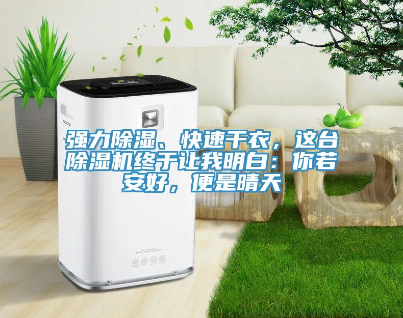 強力除濕、快速干衣,這臺除濕機終于讓我明白:你若安好,便是晴天