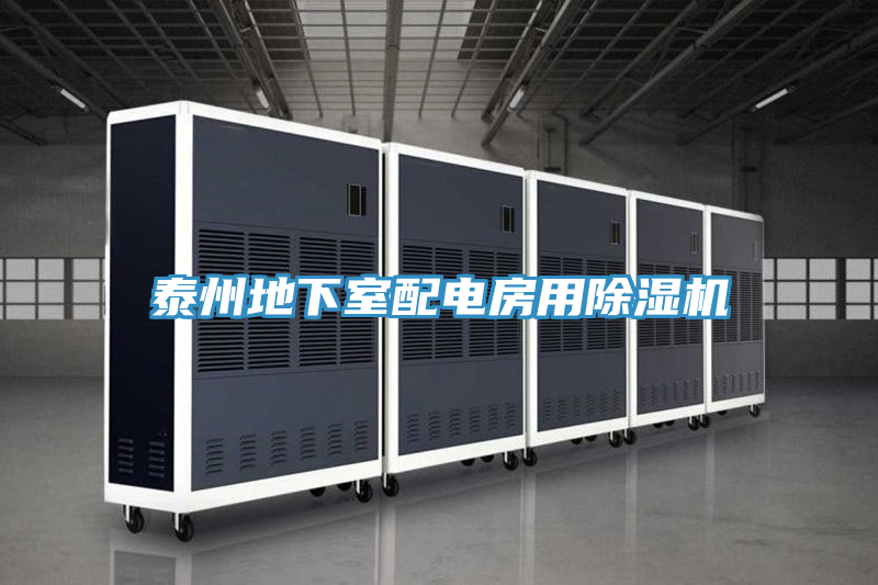 泰州地下室配電房用除濕機(jī)
