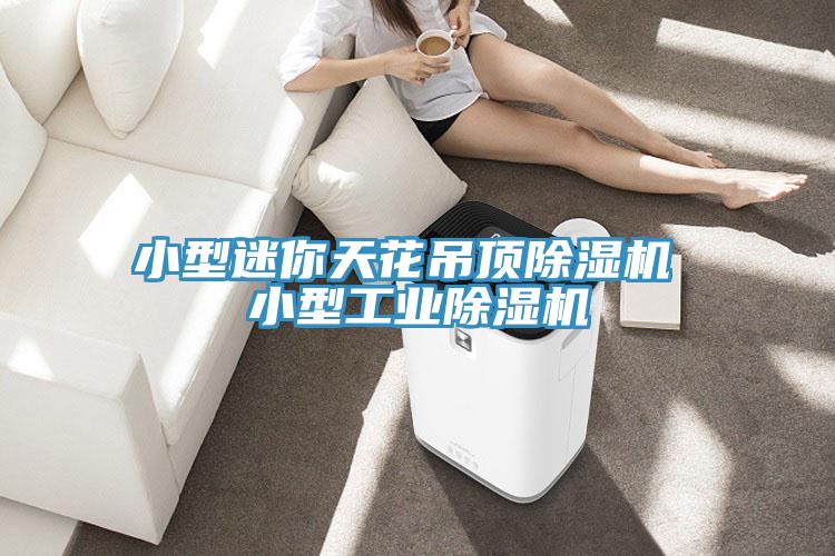 小型迷你天花吊頂除濕機 小型工業除濕機