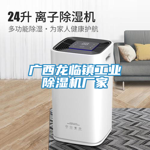 廣西龍臨鎮(zhèn)工業(yè)除濕機廠家