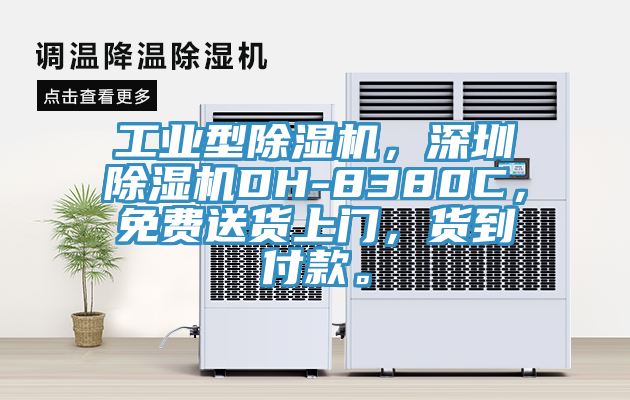 工業型除濕機，深圳除濕機DH-8380C，免費送貨上門，貨到付款。