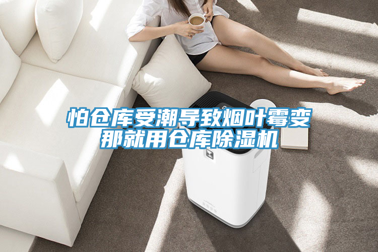 怕倉庫受潮導(dǎo)致煙葉霉變那就用倉庫除濕機