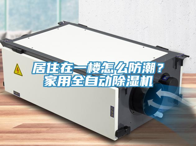 居住在一樓怎么防潮?家用全自動除濕機
