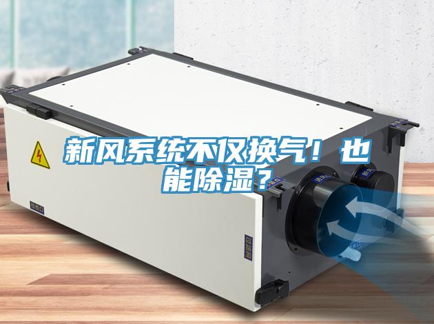 新風系統不僅換氣！也能除濕？