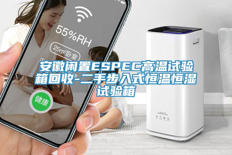安徽閑置ESPEC高溫試驗(yàn)箱回收-二手步入式恒溫恒濕試驗(yàn)箱