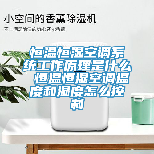 恒溫恒濕空調系統工作原理是什么 恒溫恒濕空調溫度和濕度怎么控制
