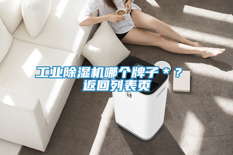 工業除濕機哪個牌子＊？ 返回列表頁