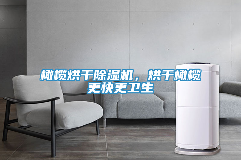 橄欖烘干除濕機，烘干橄欖更快更衛生