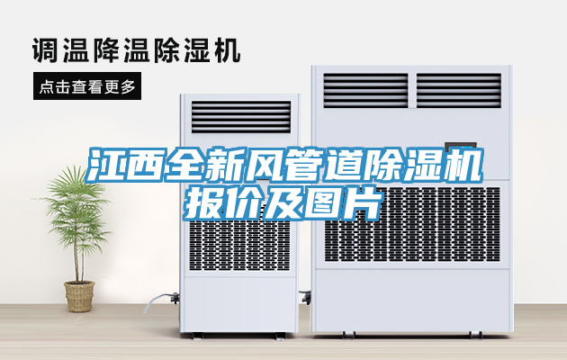 江西全新風管道除濕機報價及圖片
