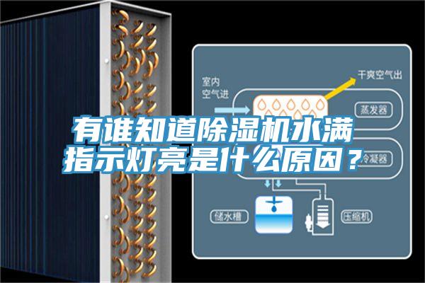 有誰知道除濕機水滿指示燈亮是什么原因?