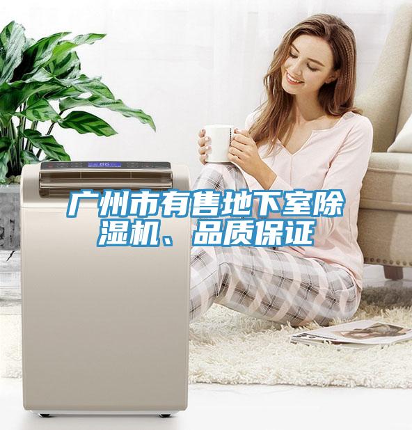 廣州市有售地下室除濕機、品質保證
