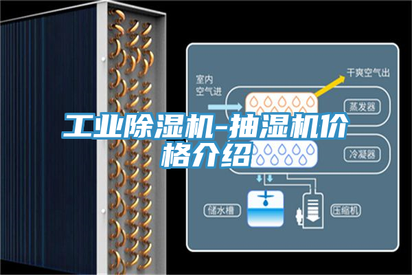 工業除濕機-抽濕機價格介紹