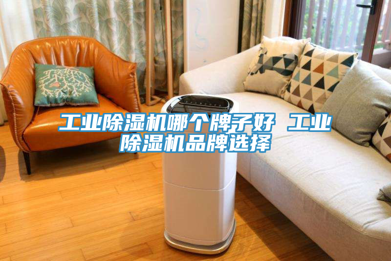 工業除濕機哪個牌子好 工業除濕機品牌選擇
