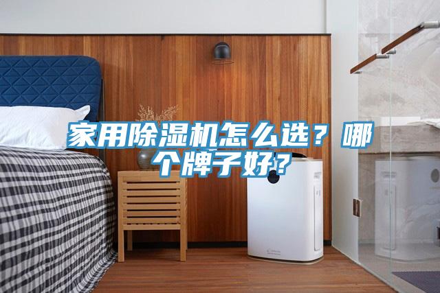 家用除濕機怎么選？哪個牌子好？