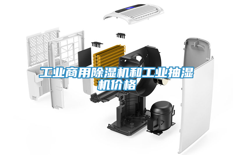 工業商用除濕機和工業抽濕機價格