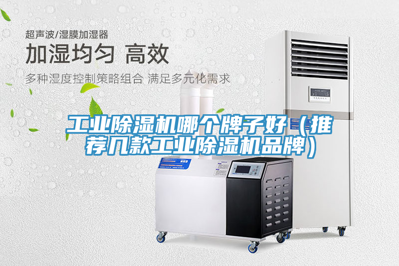 工業除濕機哪個牌子好（推薦幾款工業除濕機品牌）
