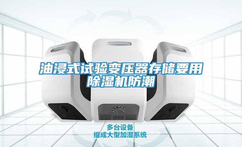 油浸式試驗變壓器存儲要用除濕機防潮
