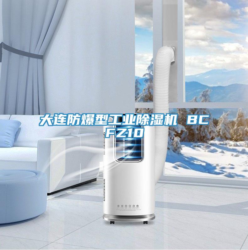 大連防爆型工業除濕機 BCFZ10
