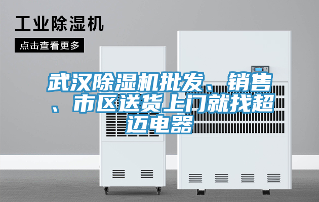 武漢除濕機批發、銷售、市區送貨上門就找超邁電器