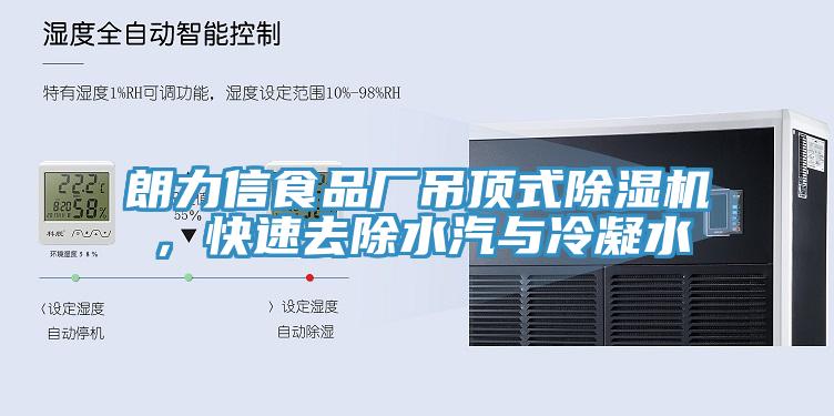 朗力信食品廠吊頂式除濕機,快速去除水汽與冷凝水