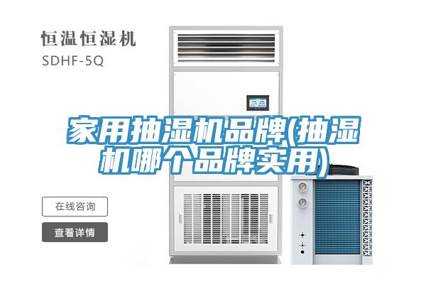 家用抽濕機品牌(抽濕機哪個品牌實用)