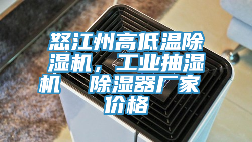 怒江州高低溫除濕機，工業(yè)抽濕機  除濕器廠家 價格