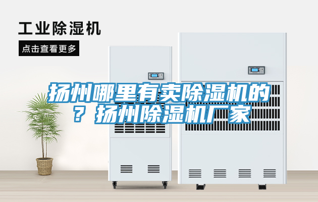 揚州哪里有賣除濕機的？揚州除濕機廠家