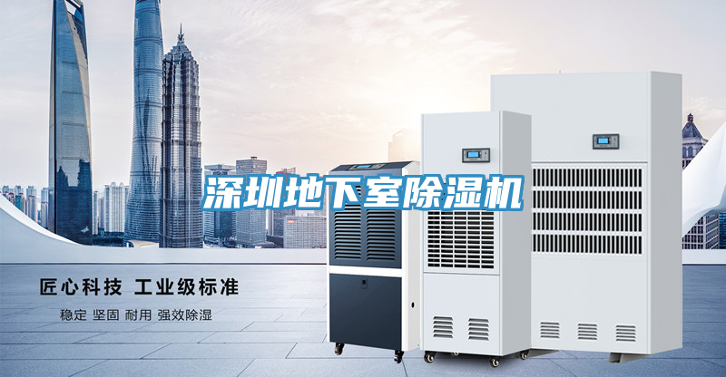 深圳地下室除濕機