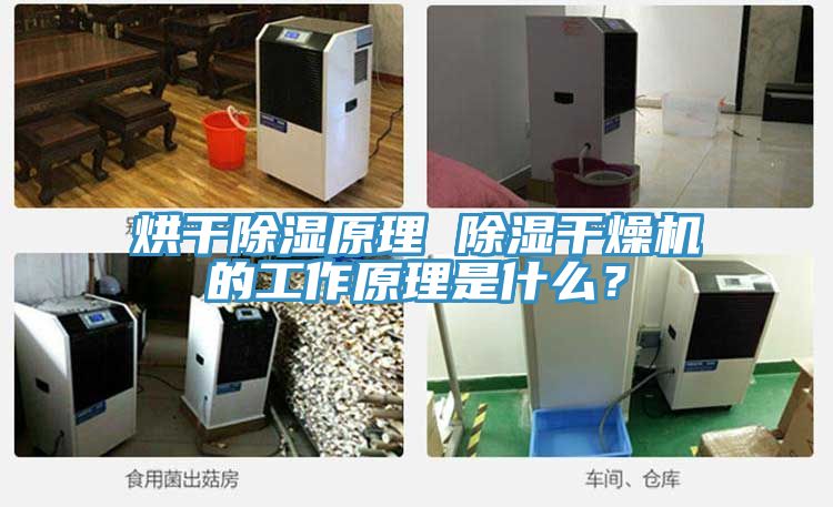 烘干除濕原理 除濕干燥機的工作原理是什么？