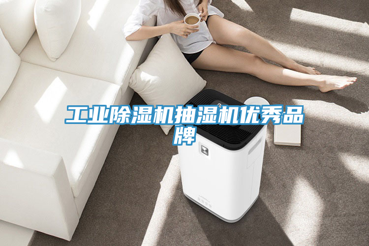 工業除濕機抽濕機優秀品牌