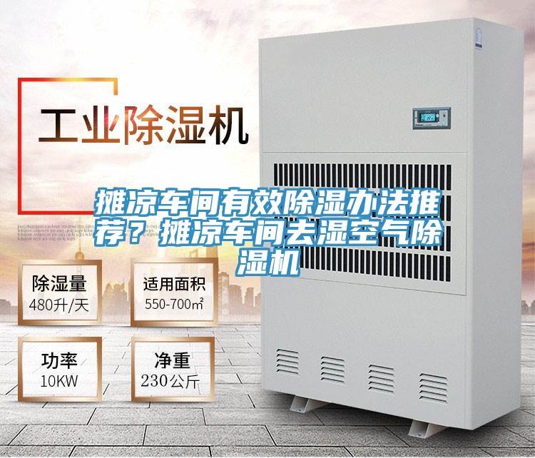 攤涼車間有效除濕辦法推薦?攤涼車間去濕空氣除濕機