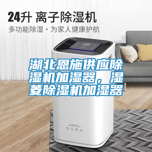 湖北恩施供應除濕機加濕器，濕菱除濕機加濕器