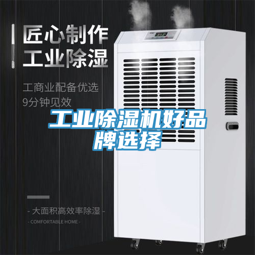 工業除濕機好品牌選擇