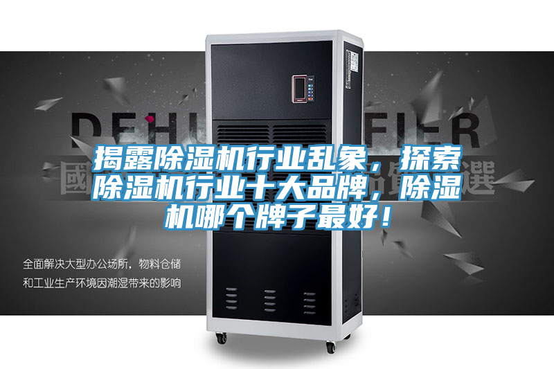 揭露除濕機行業亂象,探索除濕機行業十大品牌,除濕機哪個牌子最好!