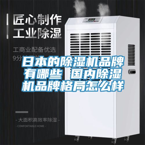 日本的除濕機(jī)品牌有哪些 國(guó)內(nèi)除濕機(jī)品牌格局怎么樣