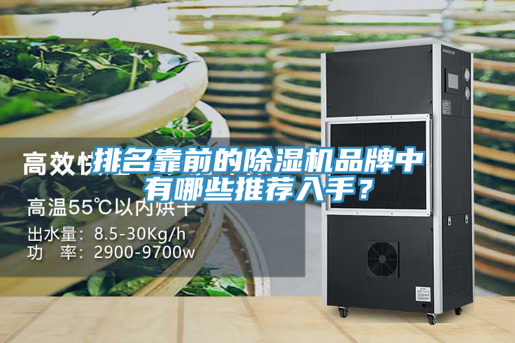 排名靠前的除濕機品牌中有哪些推薦入手?