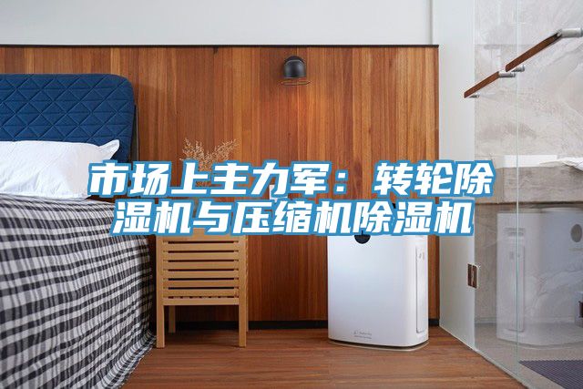市場上主力軍：轉輪除濕機與壓縮機除濕機